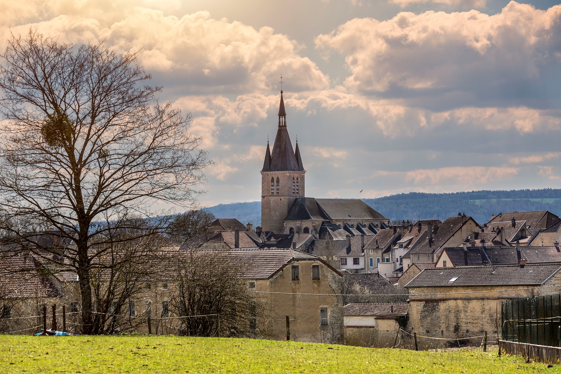 Sylvain SONNET - HEMIS - Chateauvillain